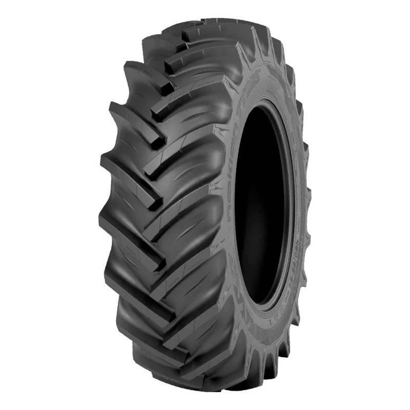 TR Forest 2 